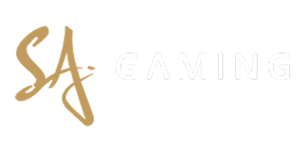 Visa partner logo